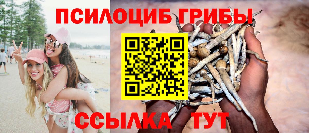 Семилуки  Псилоцибиновые грибы мицелий  Псилоцибиновые грибы ЛСД  Вход с VPN 