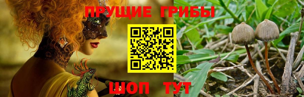 Галлюциногенные грибы ЛСД Семилуки